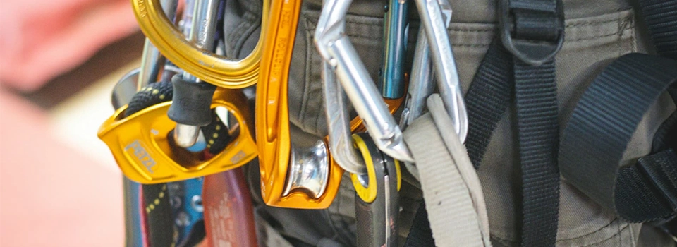 لایف لاین چیست؟